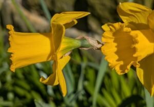 Claim Listing 1 Hydro Crop Shop – Hydroponics Store