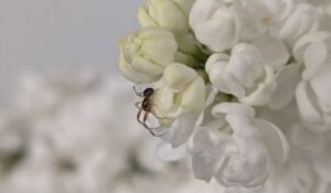 Parkhill Garden Centre