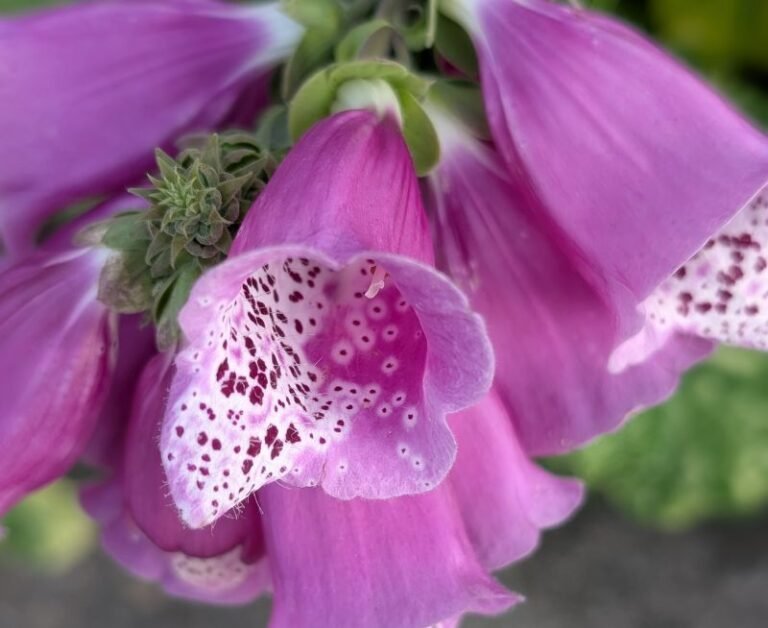 JP Fencing & Landscaping – North Yorkshire